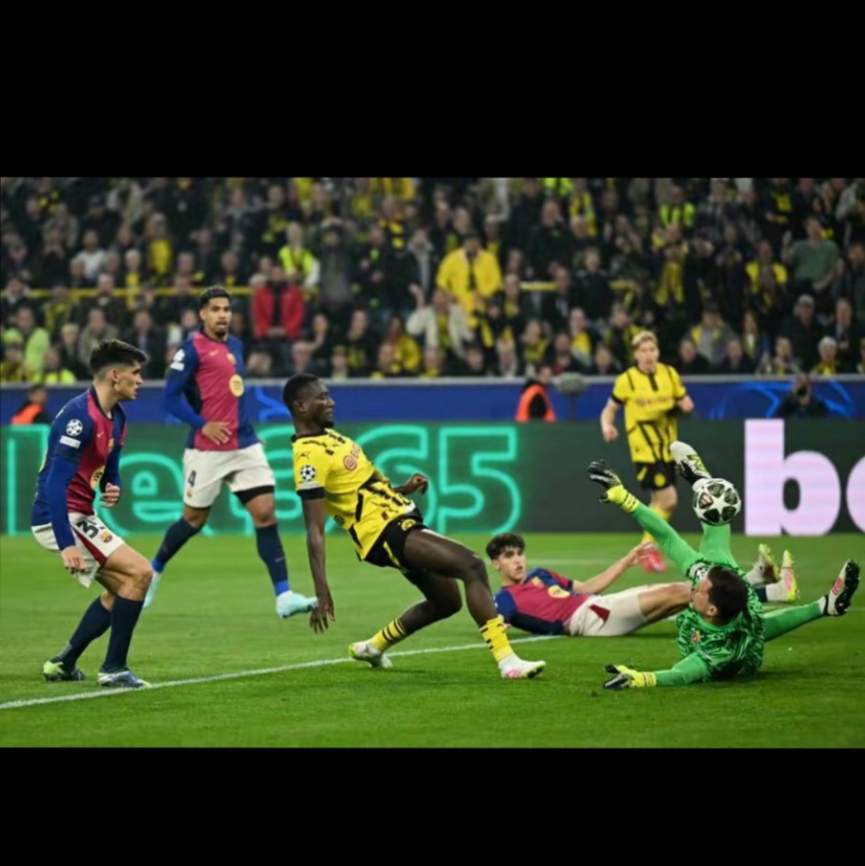 窗口期多伦多猛龙备战欧冠，外线爆发细节曝光，震撼外界，年轻球员得到机会(多伦多猛龙队怎么样)